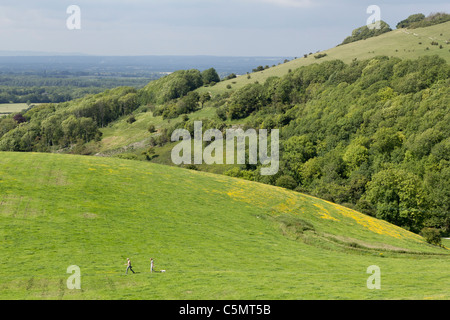 Zwei Wanderer und ein Hund sind winzige Figuren, überqueren die Felder am Devils Dyke in der Nähe von Brighton in den South Downs National Park Stockfoto