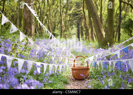 Vintage Bunting und Wicker Korb entlang eines Pfads in Dorset Frühling Bluebell Wald, England, UK Stockfoto