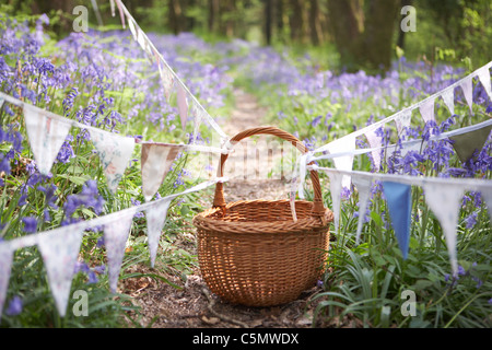 Vintage Bunting in Dorset Bluebell Wald, England, UK Stockfoto