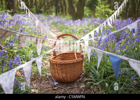 Vintage Bunting in Dorset Bluebell Wald, England, UK Stockfoto