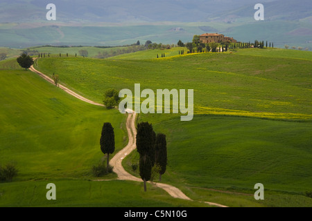 Toskanische Spur führt zu Bauernhof Villa auf Land in der Nähe von Pienza, Toskana, Italien, Europa Stockfoto