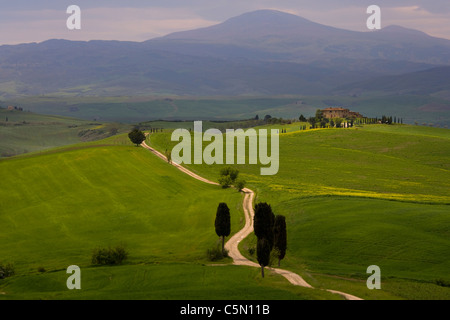 Toskanische Spur führt zu Bauernhof Villa auf Land in der Nähe von Pienza, Toskana, Italien, Europa Stockfoto