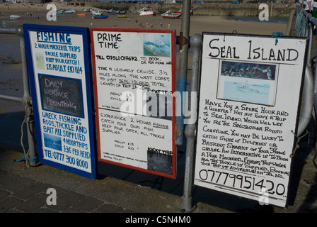 Bretter Werbung Bootstouren nach Seal Island und Angeltouren am Hafen front St. Ives, Cornwall, UK Stockfoto