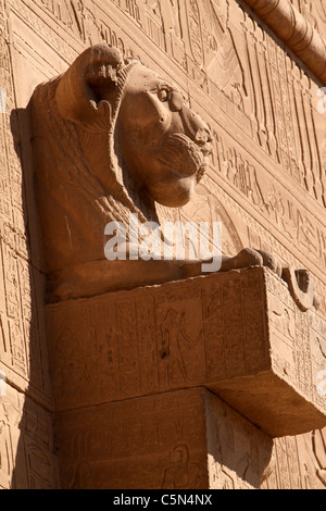 Löwin, die aus der Wand - Dendera Tempel südlich von Ägypten Stockfoto