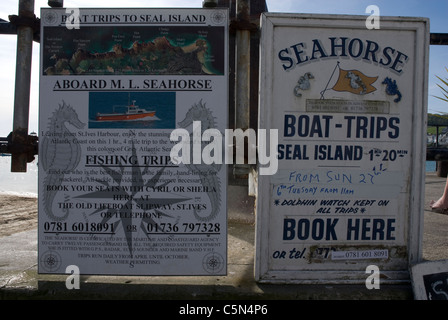 Bretter, die Werbung Angeln und Schiffsreisen St Ives Cornwall UK Stockfoto