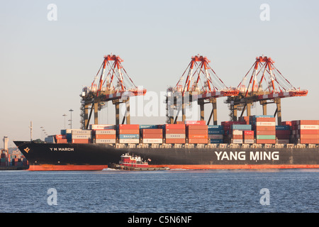 Ein Containerschiff Yang Ming wird an Maher Terminals Container-terminal in Port Newark-Elizabeth Marine Terminal geladen. Stockfoto
