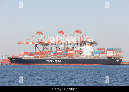 Ein Containerschiff Yang Ming wird an Maher Terminals Container-terminal in Port Newark-Elizabeth Marine Terminal geladen. Stockfoto