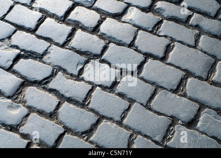 Hohe Betrachtungswinkel und der alten Straße mit Kopfsteinpflaster auf der Diagonalen. Original Pflastersteine, die gemeinhin als belgische Block fertiger oder Kopfsteinpflaster, Portland, Oregon Stockfoto