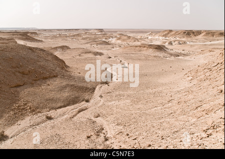 Eine trockene, hügelige und desolate Hochebene in der östlichen Wüste der Region Badia, Wadi Dahek, Haschemitisches Königreich Jordanien. Stockfoto