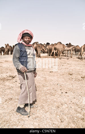 Porträt eines Migranten sudanesischen Kamel herder tendenziell eine Herde von domestizierten Arabische Kamele in der al-Hazim Region der Östlichen Wüste von Jordanien. Stockfoto