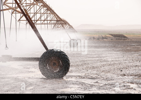 Ein solar betriebenes Drehmittelpunkt Bewässerungssystem sprühen Wasser in der Östlichen Wüste des Haschemitischen Königreichs Jordanien geführt. Stockfoto