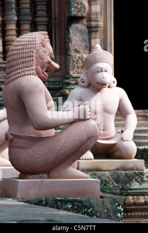 Affe wachen am Banteay Srei, Angkor, Kambodscha Stockfoto