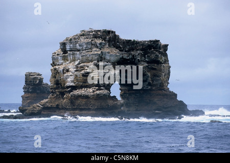 Darwins Arch offshore Darwin Insel, Galapagos, Ecuador Stockfoto