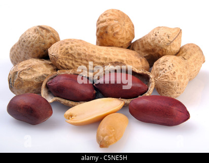Erdnüsse in der Schale und deaktiviert auf weißem Hintergrund Stockfoto