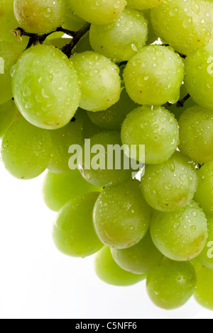 Cluster von Trauben in Wasser Tropfen Stockfoto