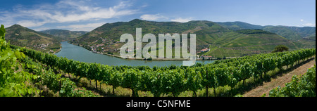 Portugal, Weinberge in der Nähe von Bagauste, Peso da Régua im Douro Tal, der Port Wein Bezirk Stockfoto