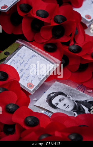 Ein Kranz mit einem Foto von einem geliebten Menschen, platziert auf dem Kenotaph in Whitehall, London am Volkstrauertag Stockfoto