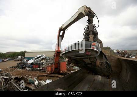 Kran heben Schrottauto in eine Auto-Brecher für das recycling in einem Schrottplatz, uk Stockfoto