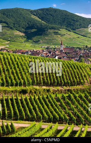 Dorf von Ammerschwihr, umgeben von Weinbergen des Grand Cru entlang der Wein Route, Elsass Haut-Rhin-Frankreich Stockfoto