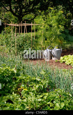 Gemüsebeete von Kartoffeln, Schalotten, Kopfsalat Lauch, Tomaten, in einem Gemüsegarten. Stockfoto