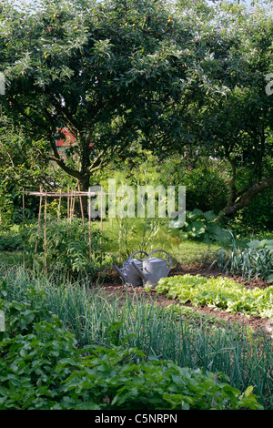 Gemüsebeete von Kartoffeln, Schalotten, Salat, Lauch, Tomaten, in einem Gemüsegarten. Stockfoto