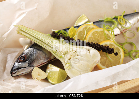 Frische Makrelen und andere Zutaten auf Papier Stockfoto