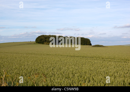 Hill Top View aus der Rundweg in der Nähe von Devizes Wiltshire Stockfoto