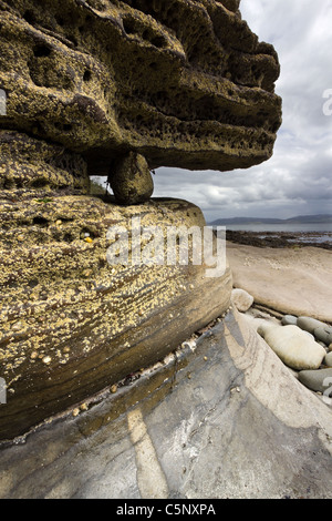 Nahaufnahme von Barnacle verkrustet und erodiert felsigen Klippen am Ufer des Loch ich in der Nähe von Elgol, Isle Of Skye, Schottland Stockfoto