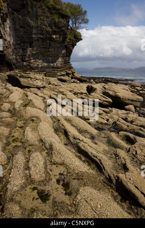 Überhängende Bäume auf erodierten felsigen Klippen am Ufer des Loch ich in der Nähe von Elgol, Isle Of Skye, Schottland Stockfoto