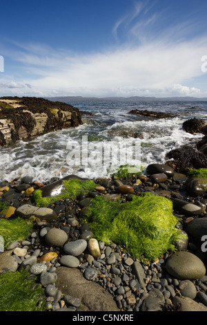 Wellen brechen über Algen bedeckt, Felsen und Geröll am Ufer des Loch ich, Glasnakille, Isle Of Skye, Schottland Stockfoto