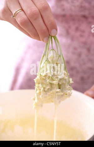 Holunder-Pfannkuchen: Frau einweichen Holunder Blüten in Pfannkuchenteig Stockfoto