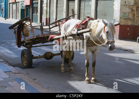 Pferd ziehen Karren, Valparaiso, Chile, Südamerika Stockfoto