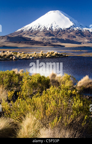 Vulkan Parinacota und Chungara See, Nationalpark Lauca, Chile, Südamerika Stockfoto