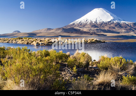 Vulkan Parinacota und Chungara See, Nationalpark Lauca, Chile, Südamerika Stockfoto