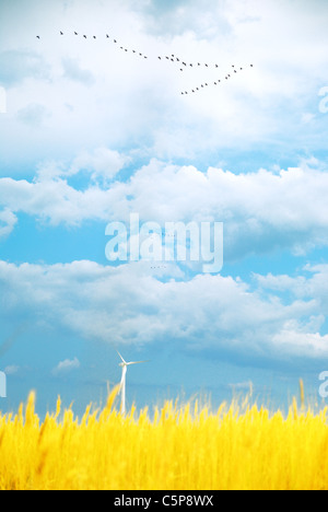 Ukrainische Sommerlandschaft mit einsamen Windkraftanlage Stockfoto