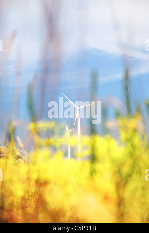 Windkraftanlagen, Krim, Ukraine Stockfoto