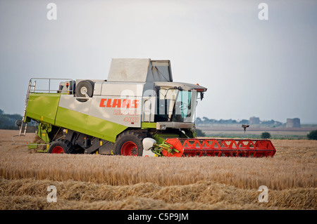 Gerstenernte, Suffolk, UK. Stockfoto
