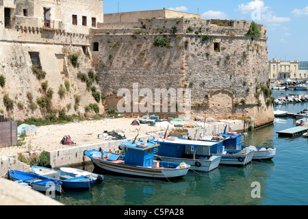 Rückseite des Anjou Schlosses in Gallipoli, Region Salento (Apulien) mit dem Turm und einige Fischerboote im Hafen. Stockfoto