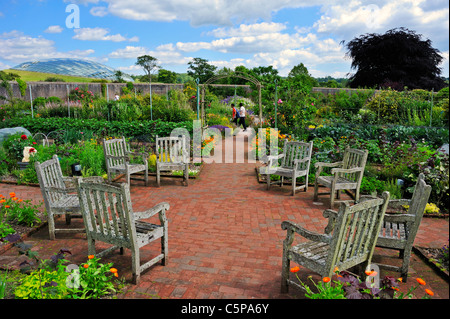 Blick auf den ummauerten Garten in den nationalen botanischen Gärten, Wales, mit gewölbten Gewächshaus im Hintergrund Stockfoto