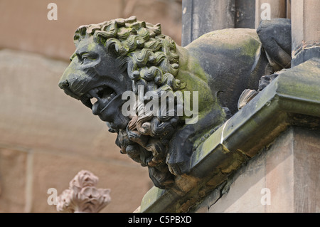 Geschnitzte Wasserspeier eines Löwen auf der Südseite der Lady Chapel der Lichfield Kathedrale Staffordshire England Stockfoto