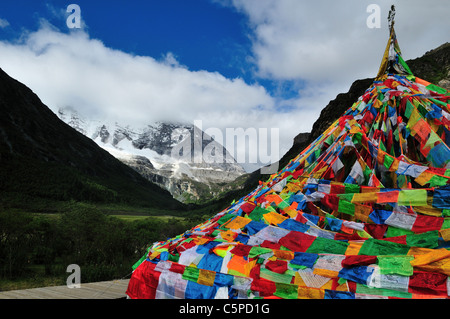 Tibetische Gebetsfahnen auf der Luorong Weide. Daocheng-Yading Nature Reserve, Sichuan, China. Stockfoto