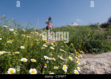 Frau in Blumenfeld Stockfoto