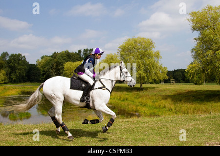 Samantha Ashburn Horse Rider Cross Country Lakeside Galopp, Agilität, wettbewerbsfähig, Kurs, Reiten, Pferde, springen, springen, Rennen, Erfolg, Wettbewerb, Galopp, galoppierendes Pferd, Pferd, Säugetier, Bewegung, Fahrer, Reiten, zeigen, Geschwindigkeit, Splash, Spray, Turnier, Cross Country Event, Ride, Sport, Tier, Land, Gras, in Bewegung, Natur, Natur, Wasser, Reiten auf dem Land im Cholmondeley Castle Horse Trials, 2011, Cheshire, Großbritannien Stockfoto