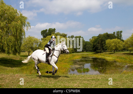 Cross Country Lakeside Galopp, Agilität, wettbewerbsfähig, Kurs, Reiten, Pferde, springen, springen, Rennen, Erfolg, Wettbewerb, Galopp, galoppierendes Pferd, Pferd, Säugetier, Bewegung, Fahrer, Reiten, zeigen, Geschwindigkeit, Splash, Spray, Turnier, Cross Country Event, Ride, Sport, Tier, Land, Gras, in Bewegung, Natur, Natur, Wasser, Reiten auf dem Land im Cholmondeley Castle Horse Trials, 2011, Cheshire, Großbritannien Stockfoto