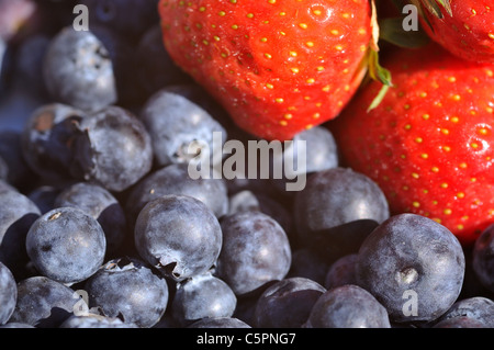 Nahaufnahme von Heidelbeeren und Erdbeeren - Sommer gemischte Beeren Stockfoto