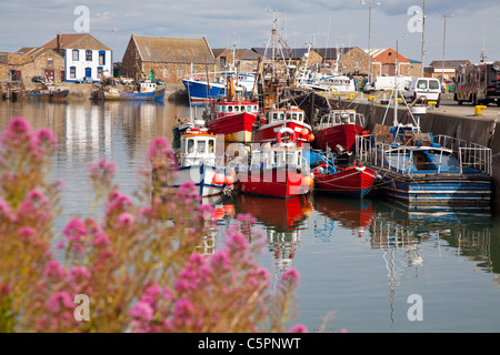 Boote in Howth Hafen im Sommer, County Dublin, Irland. Stockfoto