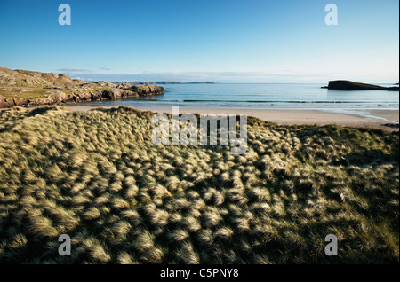 Sanddünen und Dünengebieten Rasen am Oldshoremore Strand in der Nähe von Kinlochbervie, Sutherland, Highland, Schottland, Großbritannien. Stockfoto