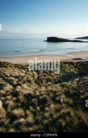 Sanddünen und Dünengebieten Rasen am Oldshoremore Strand in der Nähe von Kinlochbervie, Sutherland, Highland, Schottland, Großbritannien. Stockfoto