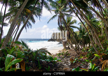 Dolly Beach, Christmas Island, Australien Stockfoto