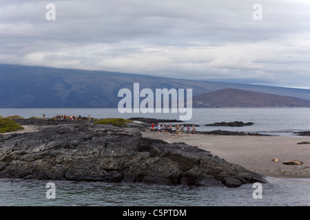Touristen am Strand von Punta Espinoza, Galapagos Stockfoto
